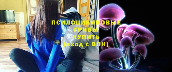 ПСИЛОЦИБИНОВЫЕ ГРИБЫ Богородск