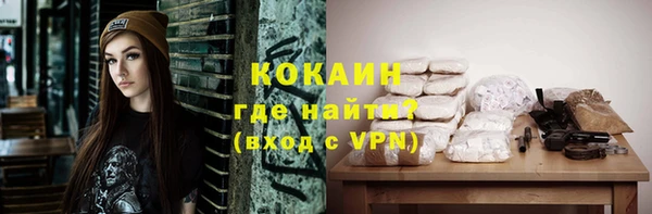 дмт Богородицк