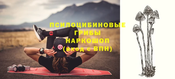 спиды Богданович