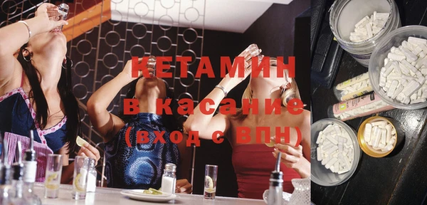 гашик Дмитров