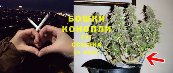 ALPHA PVP Белокуриха
