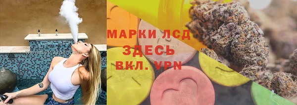 мяу мяу мука Дмитриев