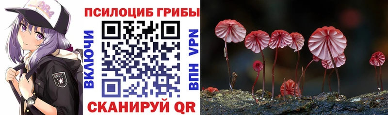 купить цена Надым darknet Telegram Псилоцибиновые грибы мицелий